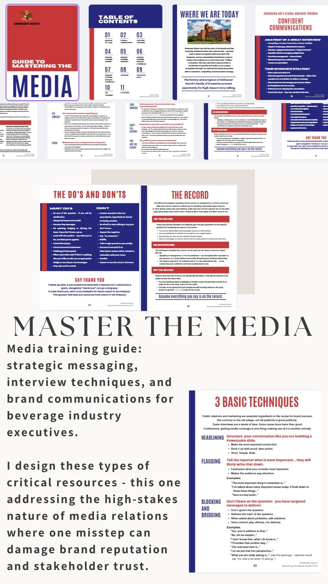 Mastering The Media Guide